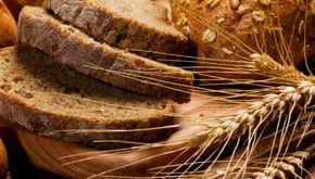 Non Celiac Gluten Sensitivity Lessons